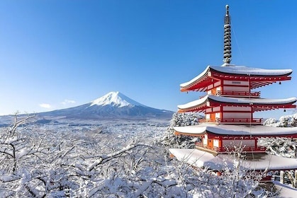 From Tokyo: Mount Fuji Sightseeing One Day Trip