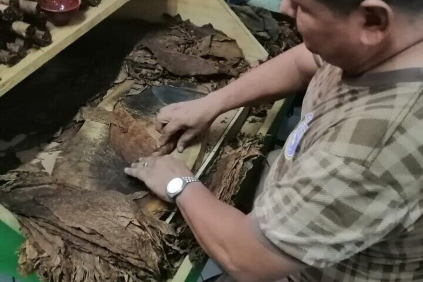 Cigar Factory Tour from Granada
