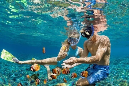 Nha Trang Bay: Private Half-Day Snorkelling Tour at Coral Reef