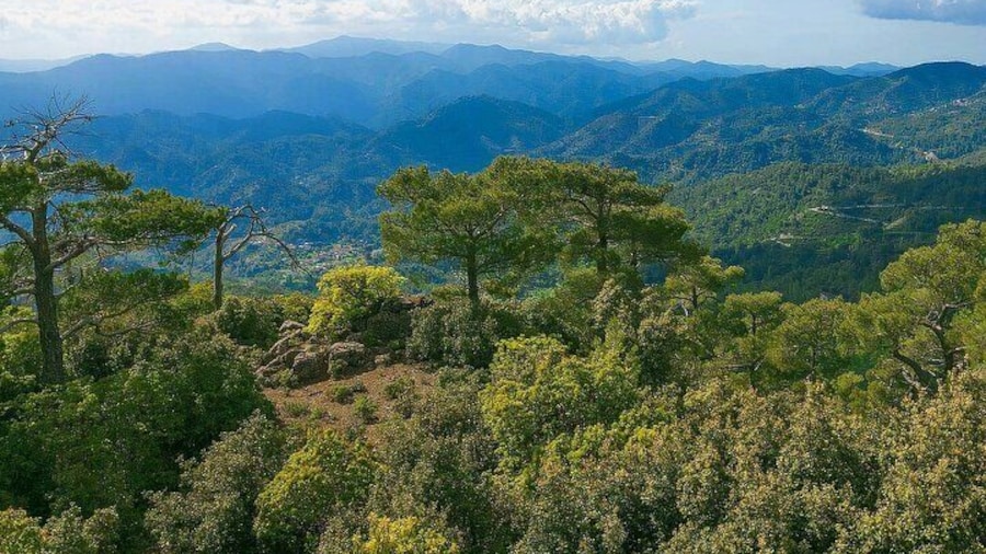 Troodos Mountains