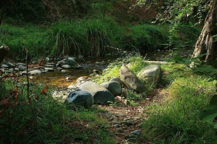 Small River