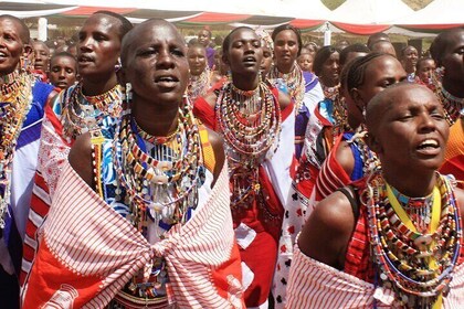 Cultural Tour to Bomas of Kenya and Carnivore Restaurant Dinner