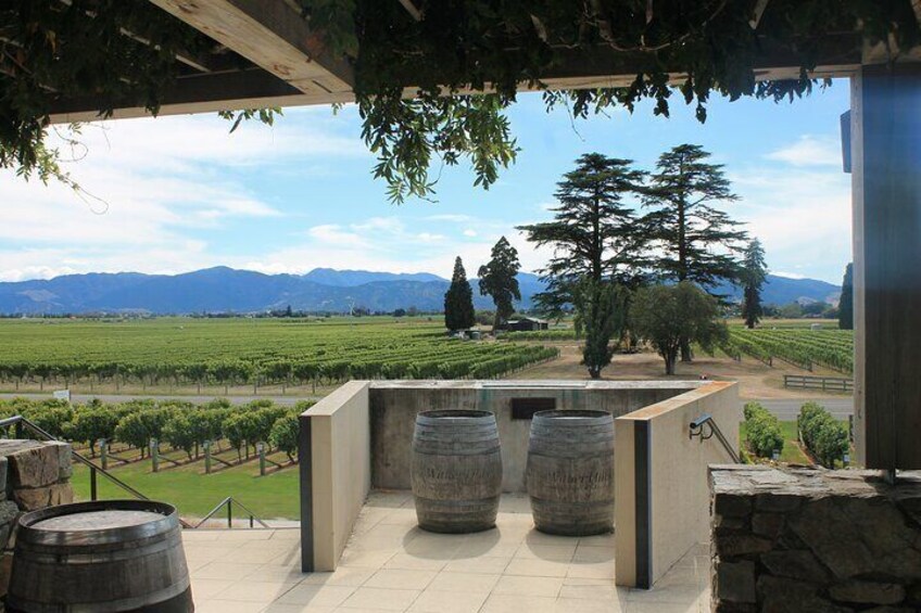 Marlborough Private Wine Tasting Tour