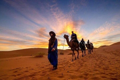 3 Days Sahara Desert to Chegaga From Agadir