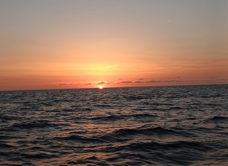 Picture 8 for Activity Can Picafort or Alcudia: Customizable Private Boat Day Trip