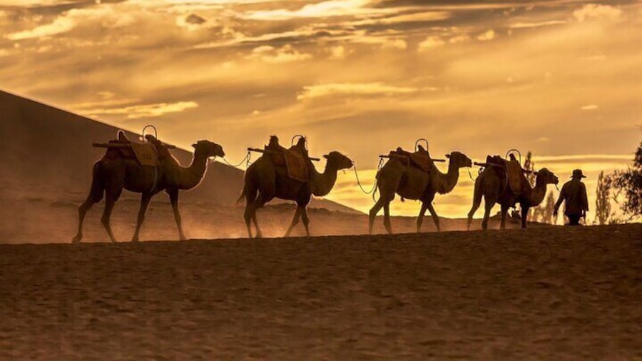 3 Day Private Silk Road Tour of Dunhuang Mogao Grottoes