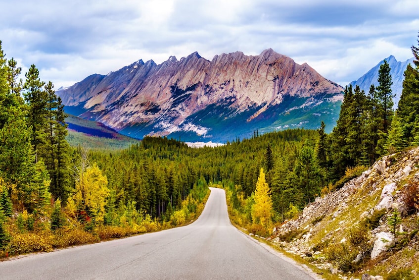 Jasper National Park Self-Guided Driving Audio tour