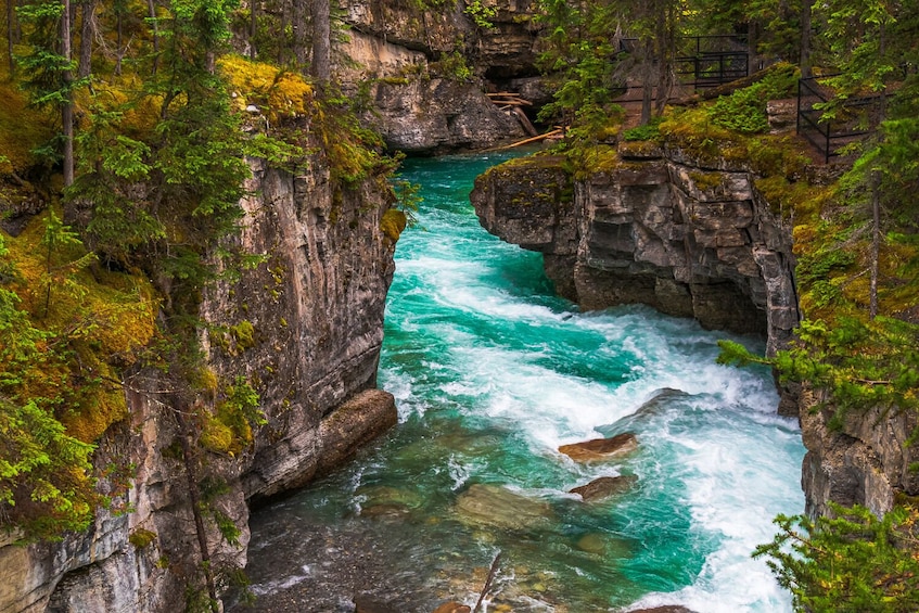 Jasper National Park Self-Guided Driving Audio tour