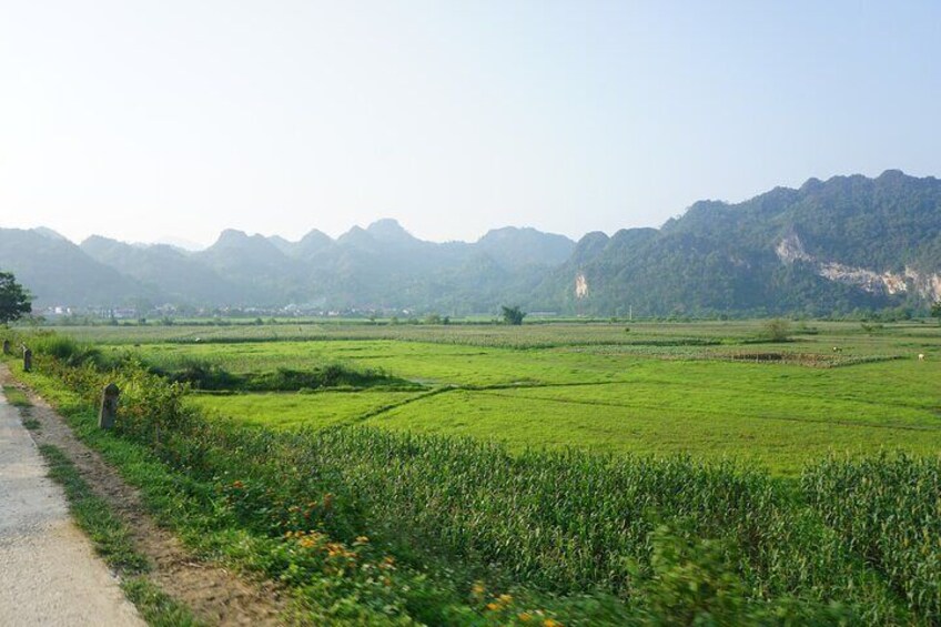 The way to the Tay village