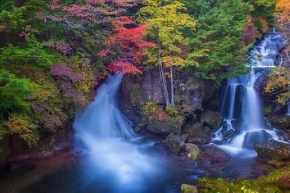 Nikko Shrine Day Tour from Tokyo or Shinjuku