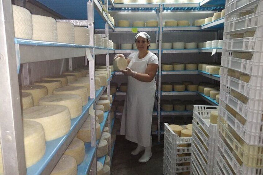 Cheese tourism at the foot of El Torcal