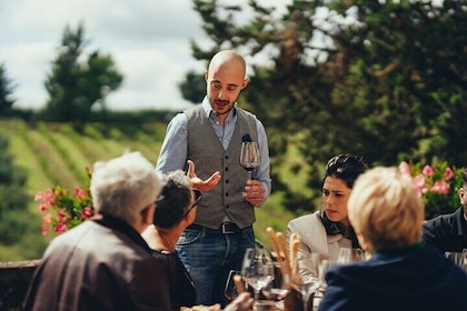 Chianti Tour with lunch guided by a local Sommelier