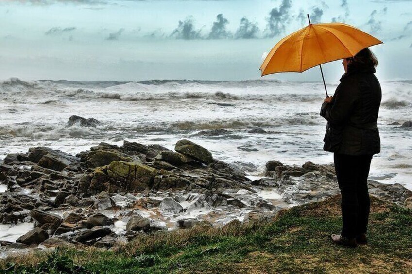 Private Tour of A Coruña Discover the city like a local
