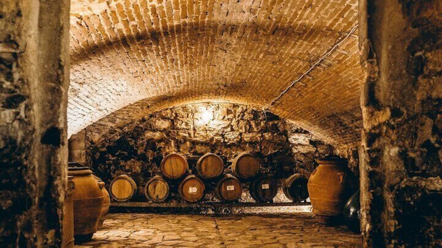 Villa Medicea Di Lilliano Tour with Wine Tasting