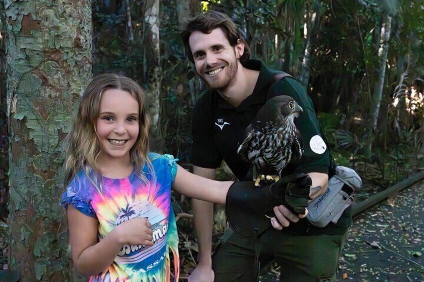 Buderim Forest Flight Owl Encounter and Tour