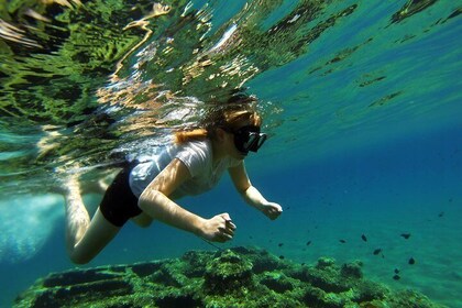 Kayaking and Snorkelling in Omiš