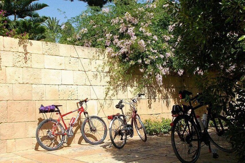 Bike tour San Juan beach, Alicante