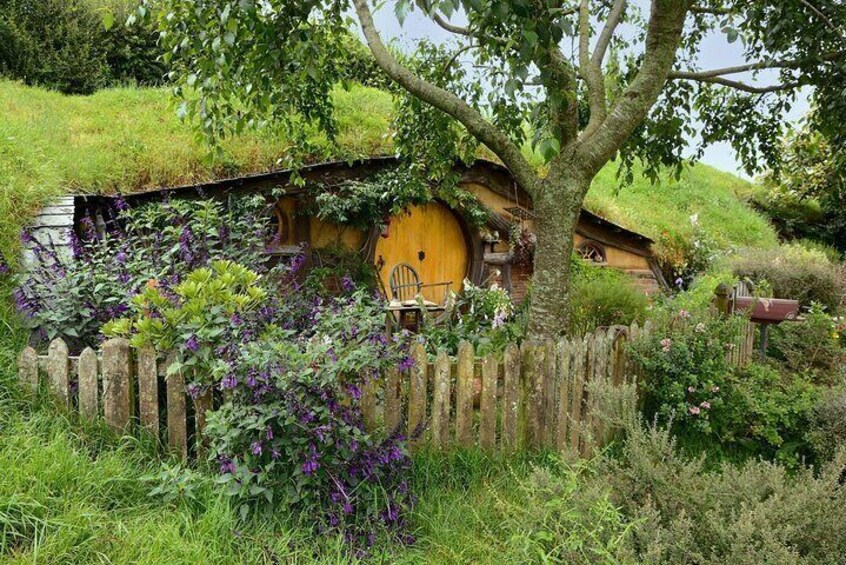 Full Day Hobbiton Movie Set and Rotorua Tour from Auckland