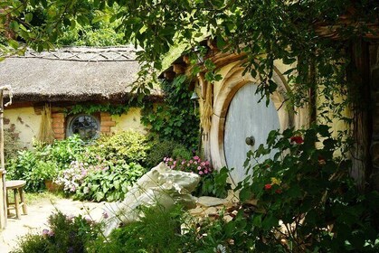 Full Day Hobbiton Film Set and Rotorua Tour from Auckland