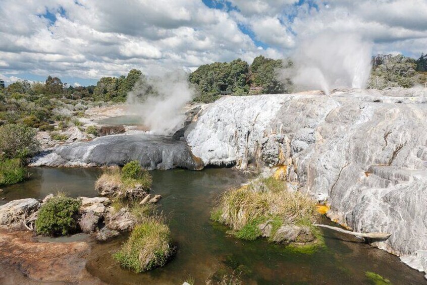 Full Day Hobbiton Movie Set and Rotorua Tour from Auckland