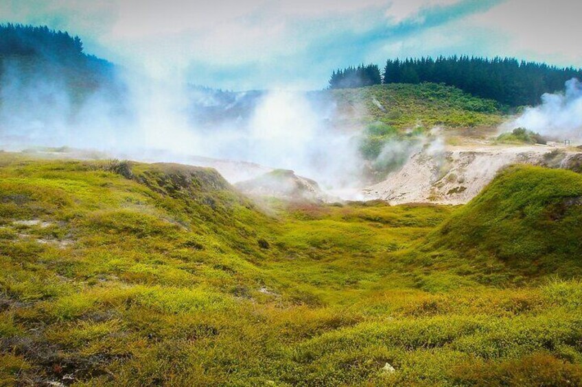 Full Day Hobbiton Movie Set and Rotorua Tour from Auckland