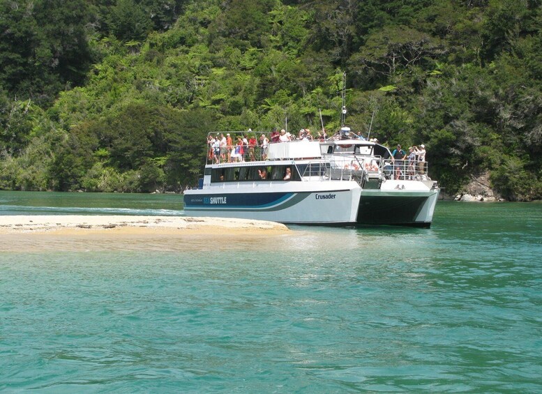 Picture 2 for Activity Abel Tasman National Park Scenic Cruise