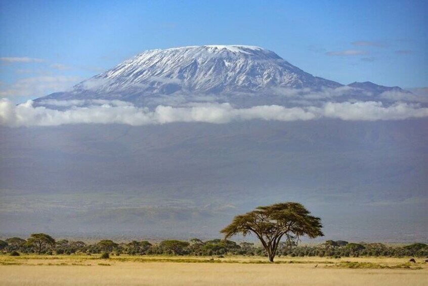 3 Days 2 Nights Joining Tour to Amboseli National Park