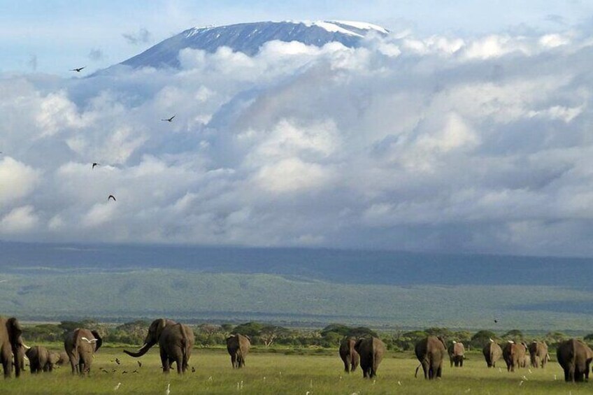 3 Days 2 Nights Joining Tour to Amboseli National Park