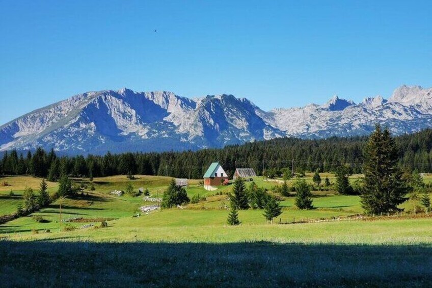 Tour of Tara and Moraca Canyon with Biogradska Gora and Durmitor