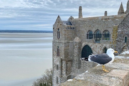 Live Guided Mont Saint-Michel D Day Private trip by Mercedes