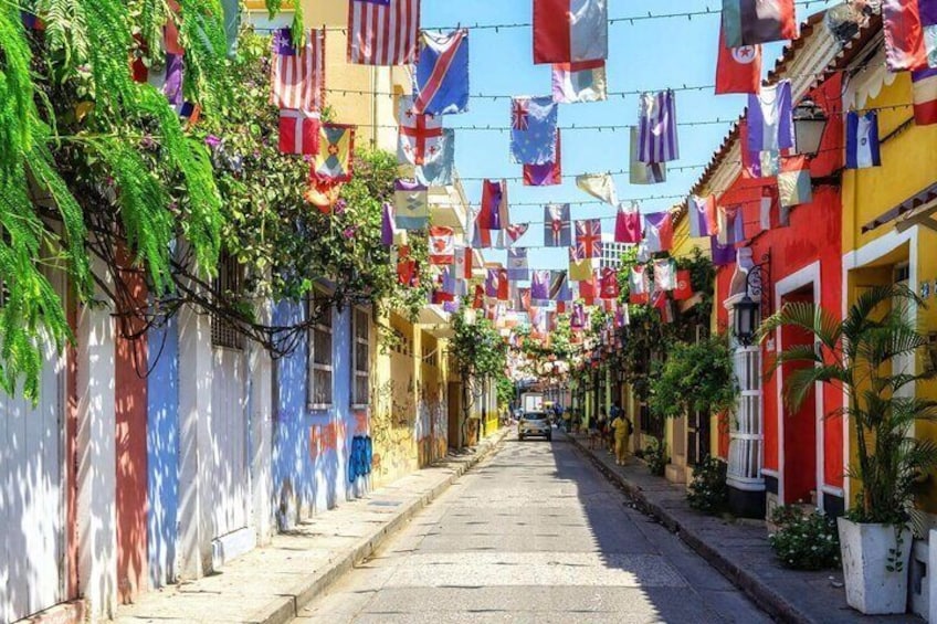 Yellow City Tour with Admission to Castillo San Felipe