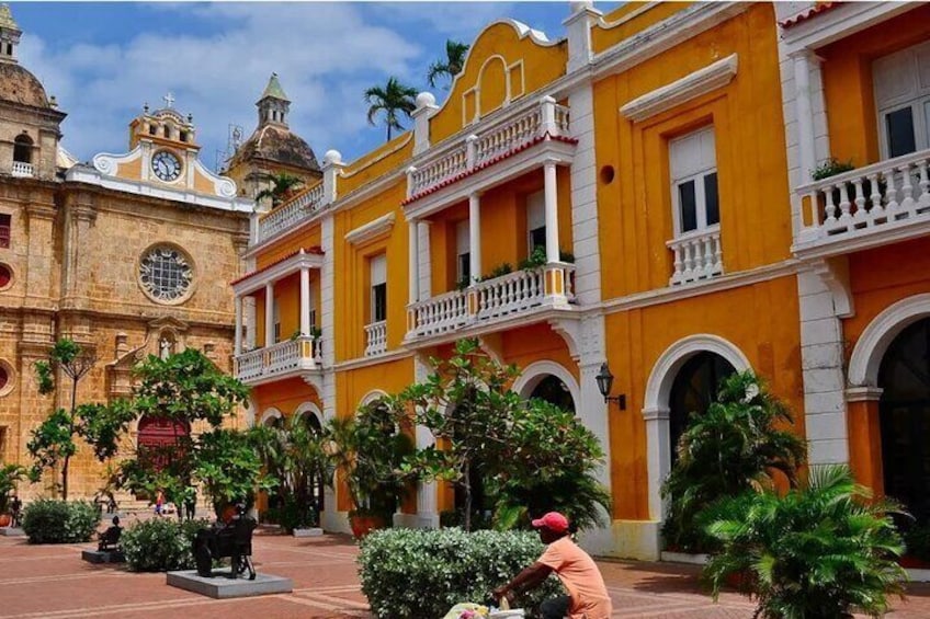 Yellow City Tour with Admission to Castillo San Felipe