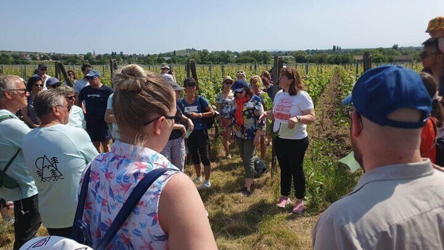 Dare the wine with a feminin touch