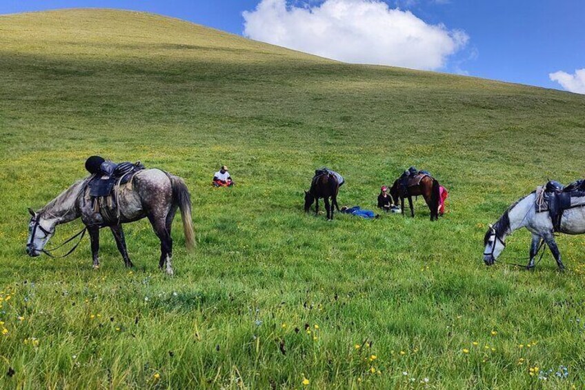 The Pearl for Caucasus Horse Riding in Tusheti