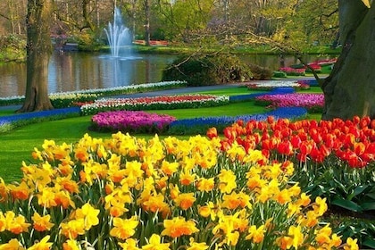 Stunning Keukenhof Gardens and Delft City Tour from Amsterdam