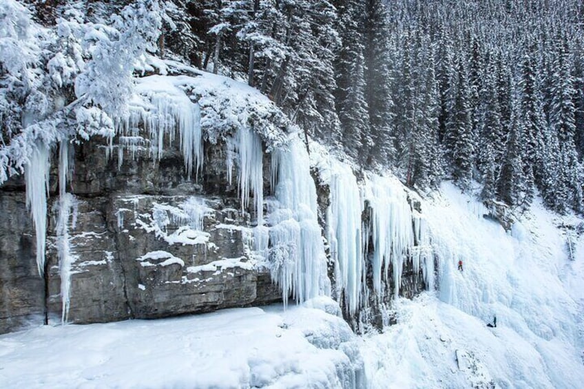 Banff, Lake Louise & Johnston Canyon | Small Group Active Full Day Adventure!
