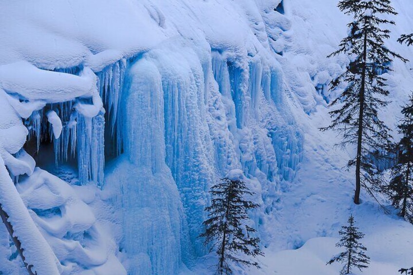 Full-day Adventure Winter Tour in Banff