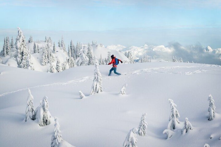 Full-day Adventure Winter Tour in Banff