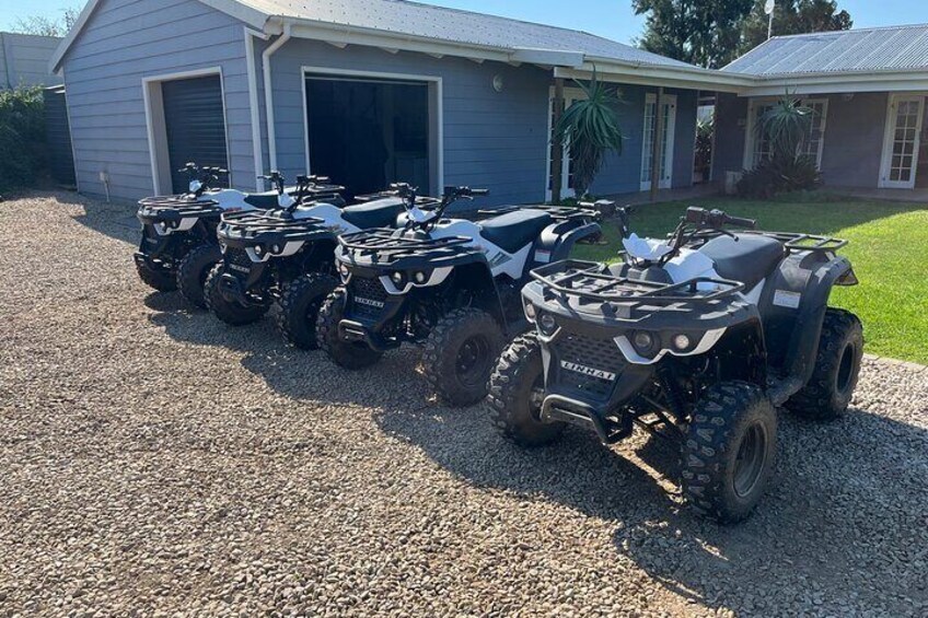 Addo Elephant National Park and Quad Biking Combo
