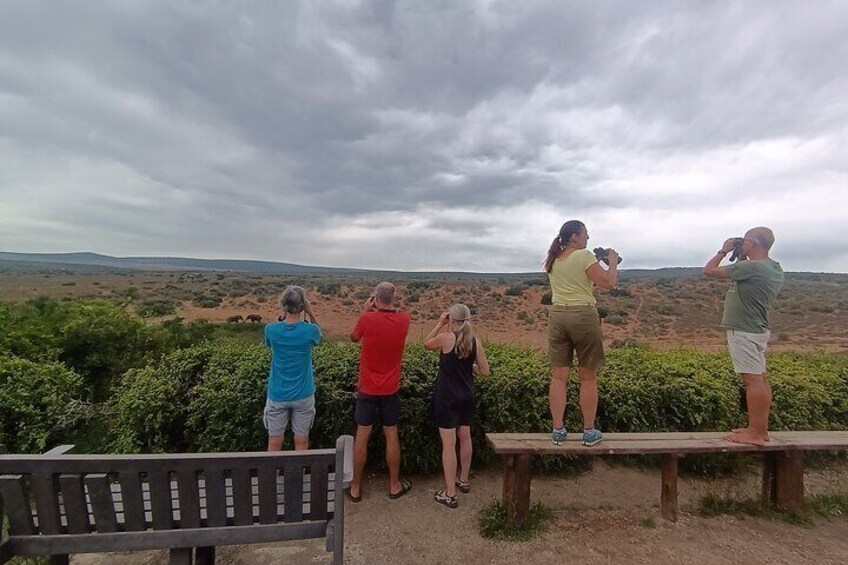 Quad Biking and Addo Elephant National Park Combo