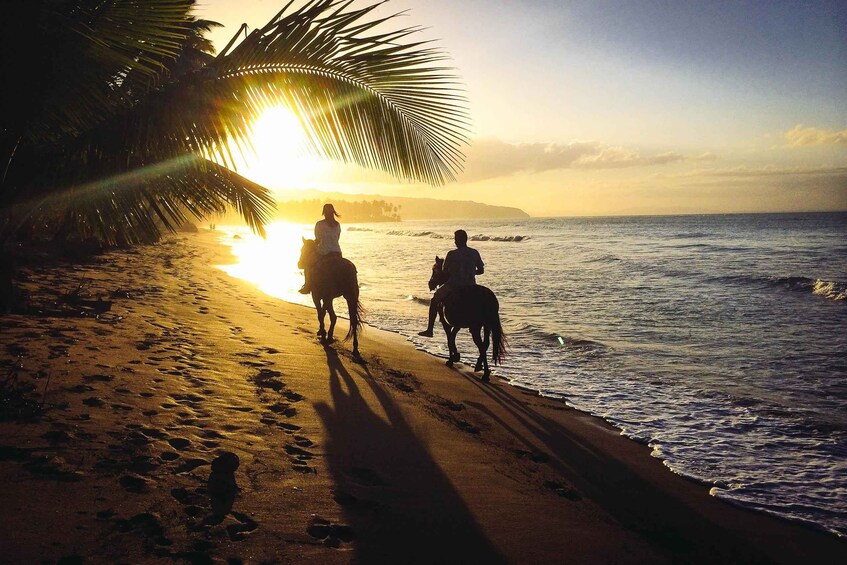 Picture 13 for Activity Uvita: Horseback Riding Costa Rica