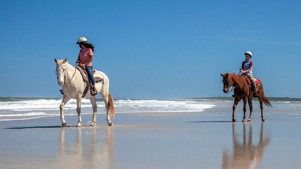 Picture 19 for Activity Uvita: Horseback Riding Costa Rica