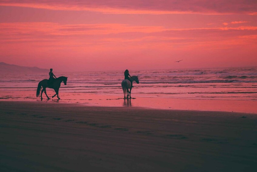 Picture 26 for Activity Uvita: Horseback Riding Costa Rica