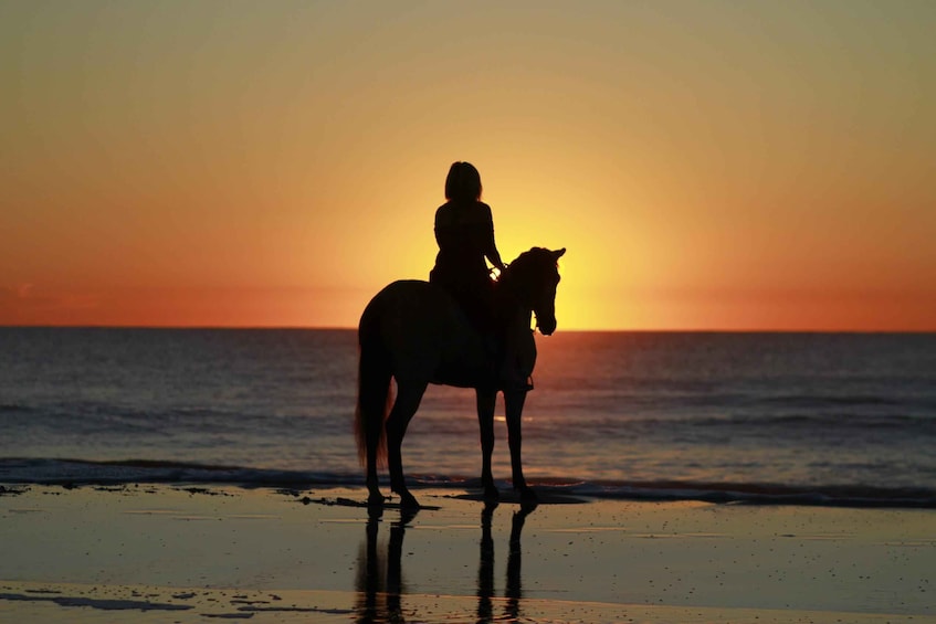 Picture 20 for Activity Uvita: Horseback Riding Costa Rica