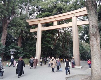 Tokyo: Private Tour for First-Time Visitors