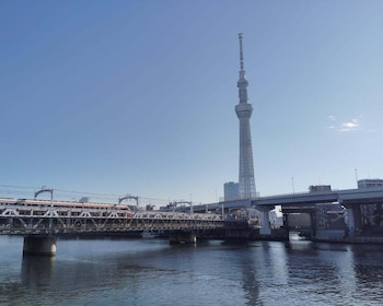 Tokyo Awaits: Your Ultimate Private Day Adventure