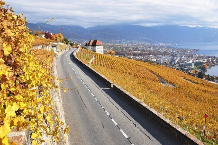 Private Cheese Chocolate and Wine Tour Gruyeres Montreux