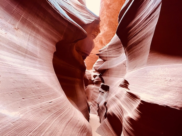 BEST Antelope Canyon & Horseshoe Bend Day Trip from Las Vegas