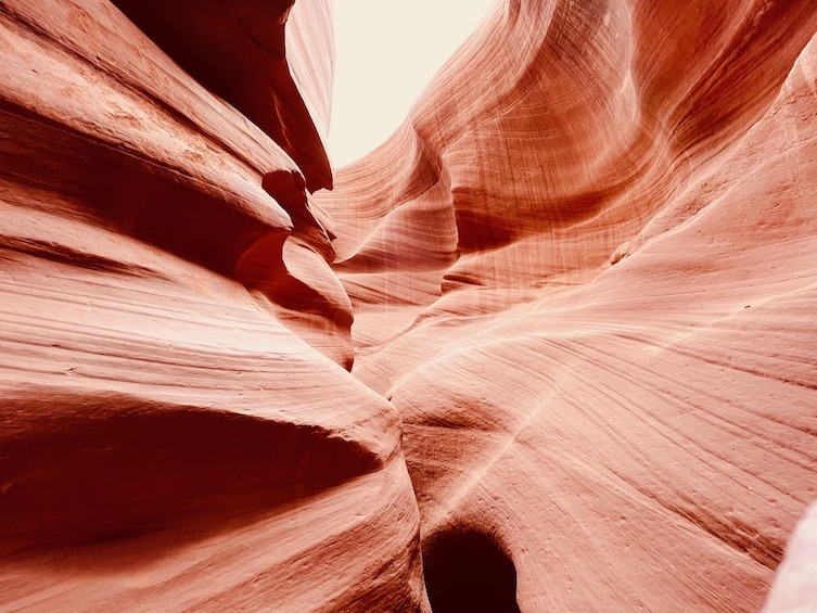 BEST Antelope Canyon & Horseshoe Bend Day Trip from Las Vegas