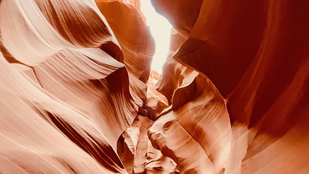 BEST Antelope Canyon & Horseshoe Bend Day Trip from Las Vegas